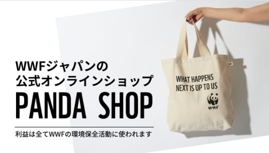 ノベルティプレゼント中