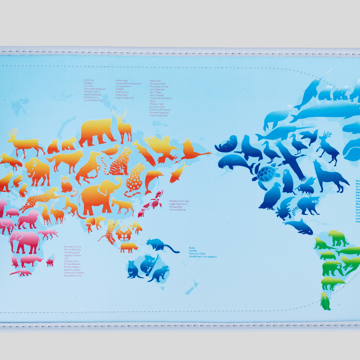 カブセ裏に動物の世界地図デザイン。