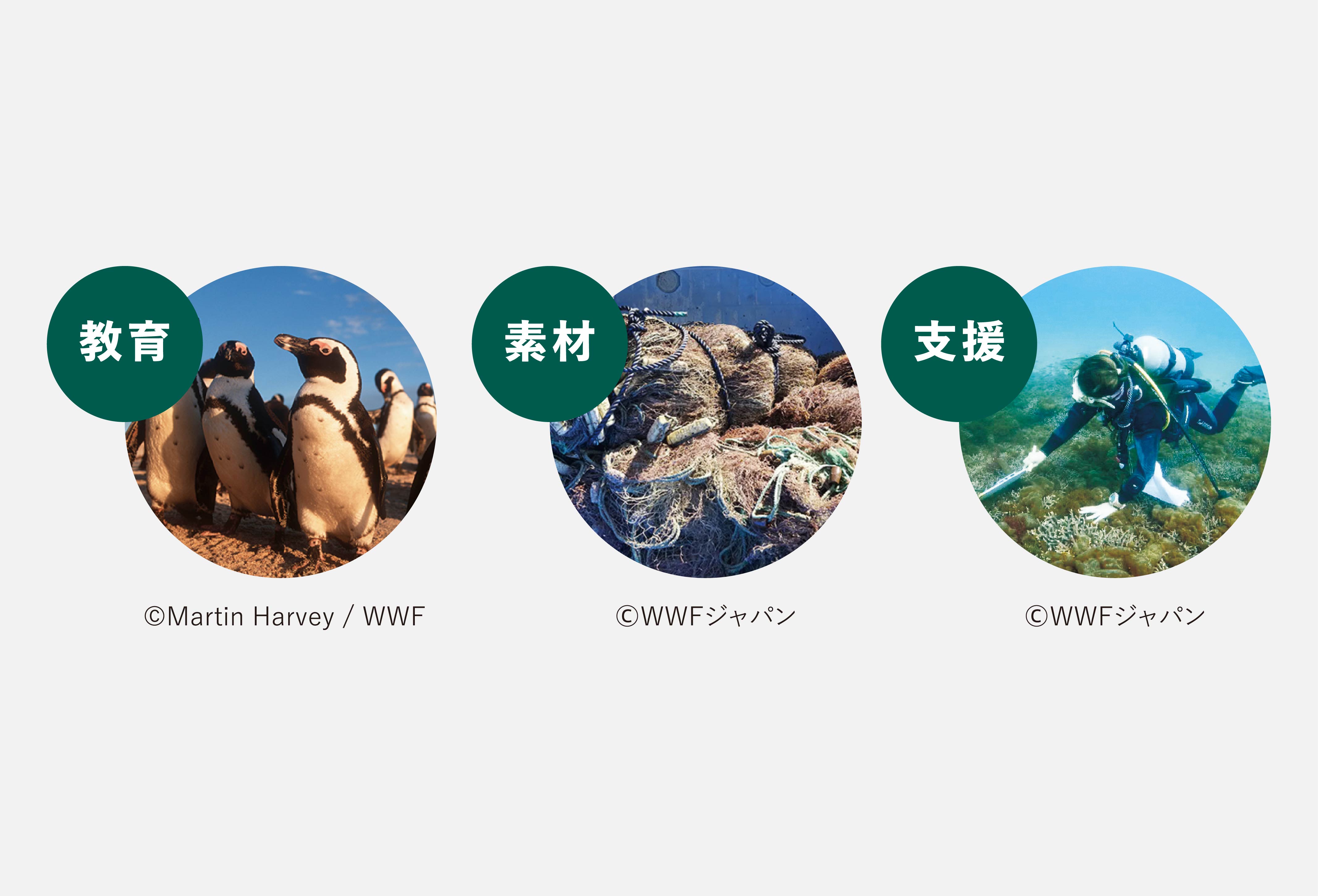 自然保護活動と支援